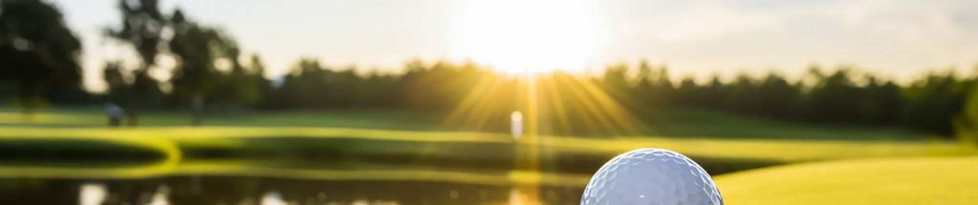 株式会社オアシス興業